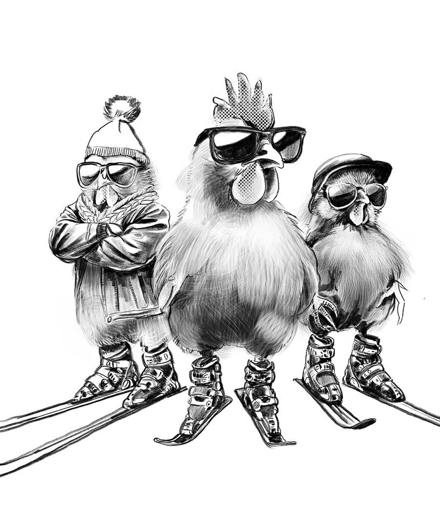 Geir-Schau-kule-kyllinger-illustrasjon-av-Gro-Englund-Børresen